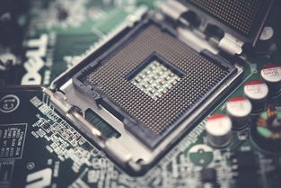 三星CPU品牌排名及其市场表现深度解析