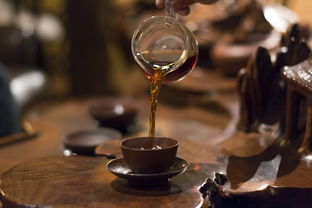 茶叶骆驼品牌图片介绍，带你走进茶与骆驼的奇妙世界