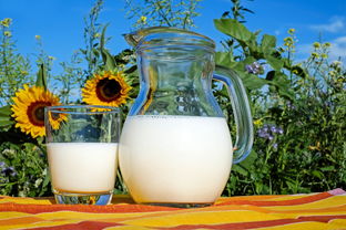 夏日炎炎，品牌水杯夏陪你清凉一夏