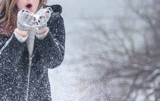 滑雪玩具品牌，探索与解析