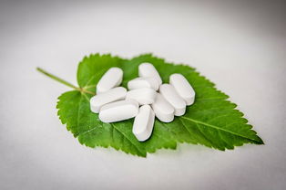 中国国产白酒品牌的丰富多样性