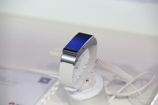 不伤害瓷砖的铲子品牌大解析