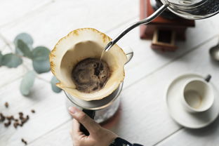 茶叶单丛品牌，品质与文化的完美结合