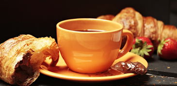 揭秘水杯品牌天梯图，谁才是你的杯中佳品？