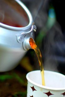 揭秘搅拌杯水杯品牌，实用与美观并存的选择