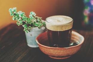 茶叶品牌排行平价推荐，性价比高的茶叶有哪些？
