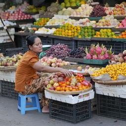 揭秘冰箱抗菌剂市场，这些品牌让你安心储鲜