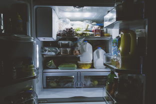 揭秘食物最多的冰箱品牌，谁才是真正的食物宝库？