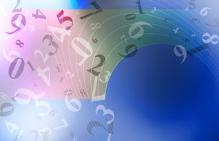 探索手机品牌Data文件的重要性与实用指南