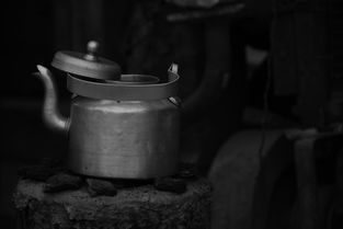 浙江茶叶茶具加盟品牌深度解析