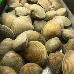西餐自助海鲜推荐品牌—— 舌尖上的海洋盛宴