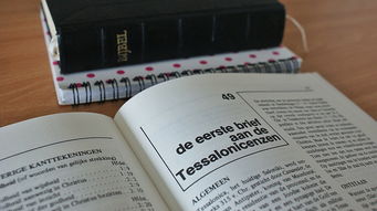 中国有手机CPU品牌吗，探究与案例分析