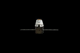 美国太空茶叶品牌，探索星际之味