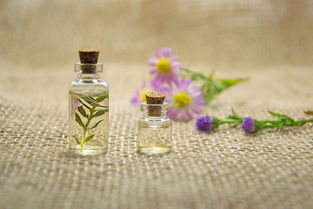 沐浴露品牌特香系列，香气四溢，品质之选