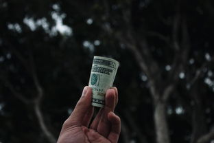 美国手机品牌大比拼，谁才是你心中的佼佼者？
