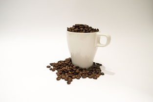 低糖低热量的奶茶品牌，健康与美味的完美结合