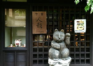 汉服儿童品牌店铺，传承与创新的融合之旅