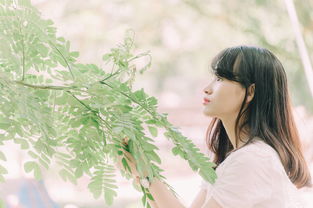 探索汉服之美，品味千年文化