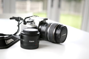 Canon，摄影领域的佼佼者—品牌相机深度解析