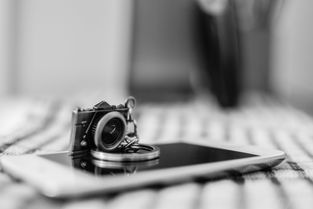 探索相机的世界，品牌、颜色与我们的故事