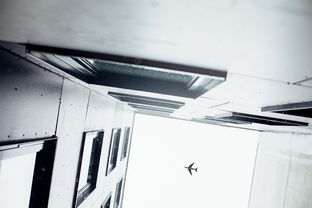 揭秘兰基厨具——来自法国的厨房革命者
