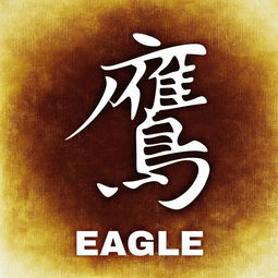 内衣品牌中的佰字传奇