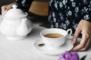 全料奶茶大揭秘，热门品牌一网打尽