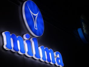 MIL品牌耳机，音质的力量与时尚的完美结合