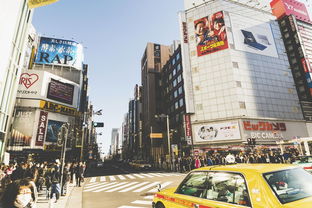 益阳三维打印机品牌店，打造本地3D打印新天地