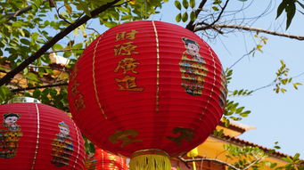 中国品牌灯具精选