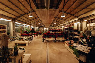 苏州节能灯具品牌精选与市场表现