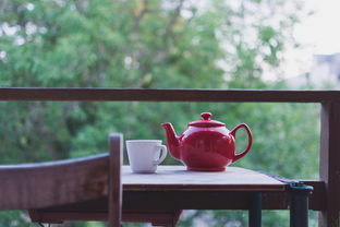 红茶茶叶品牌文案书籍，探索经典与创新的交融之美