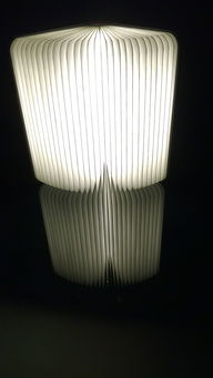 阳光家庭照明灯具品牌精选指南