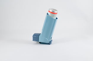 揭秘品牌空气净化器加，你的健康呼吸好伴侣