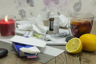花生铲子哪个品牌更好用？深度解析几款热门品牌