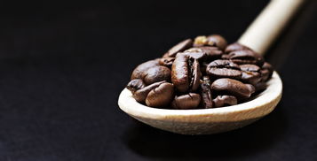 岩茶品牌茶叶大解密，品种、特色与故事