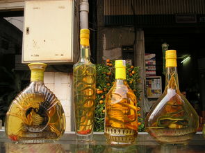 白酒品牌大盘点，走进中国白酒的多元世界
