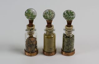 河南十强白酒品牌，解读本土白酒的繁荣与魅力