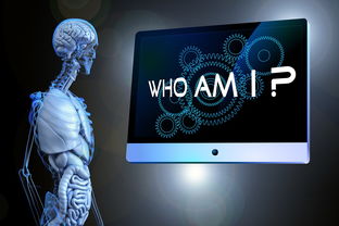 深度解析扫地机器人哪个牌子好？