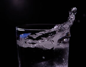 揭秘卧龙品牌水杯，品质生活从一杯水开始