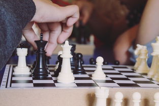 琴棋书法，哪个品牌更胜一筹？