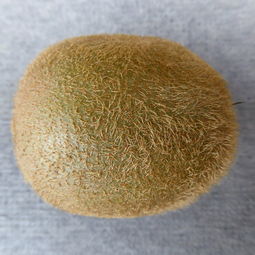 冻干粉面膜十大排名品牌深度解析