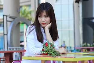 杨天真的内衣品牌——时尚与舒适的完美融合