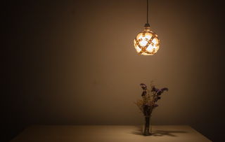 卢登曼灯具，品牌之光，照亮家居新境界