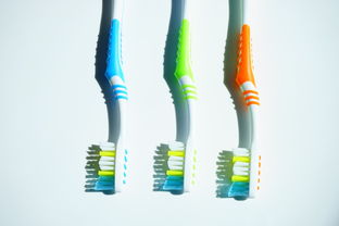 狗狗口腔健康，从一支专用牙刷开始—揭秘狗狗专用牙刷品牌
