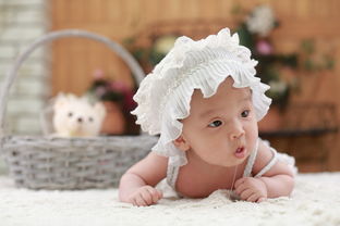 两岁婴儿玩的玩具品牌全解析