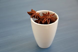 十几款食用油品牌排行榜