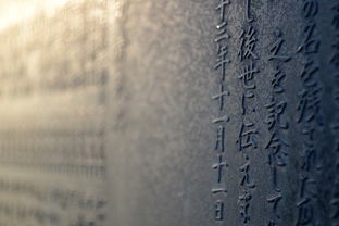 书法软笔哪种品牌好？一文带你了解各大品牌软笔特点及选购技巧
