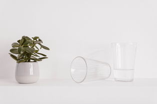 墙面水杯置物架推荐品牌全解析