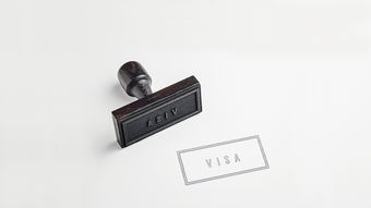 苏州网络打印机品牌大盘点，哪家品牌更受欢迎？